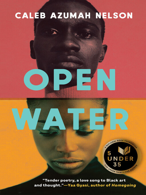 Caleb Azumah Nelson创作的Open Water作品的详细信息 - 可供借阅